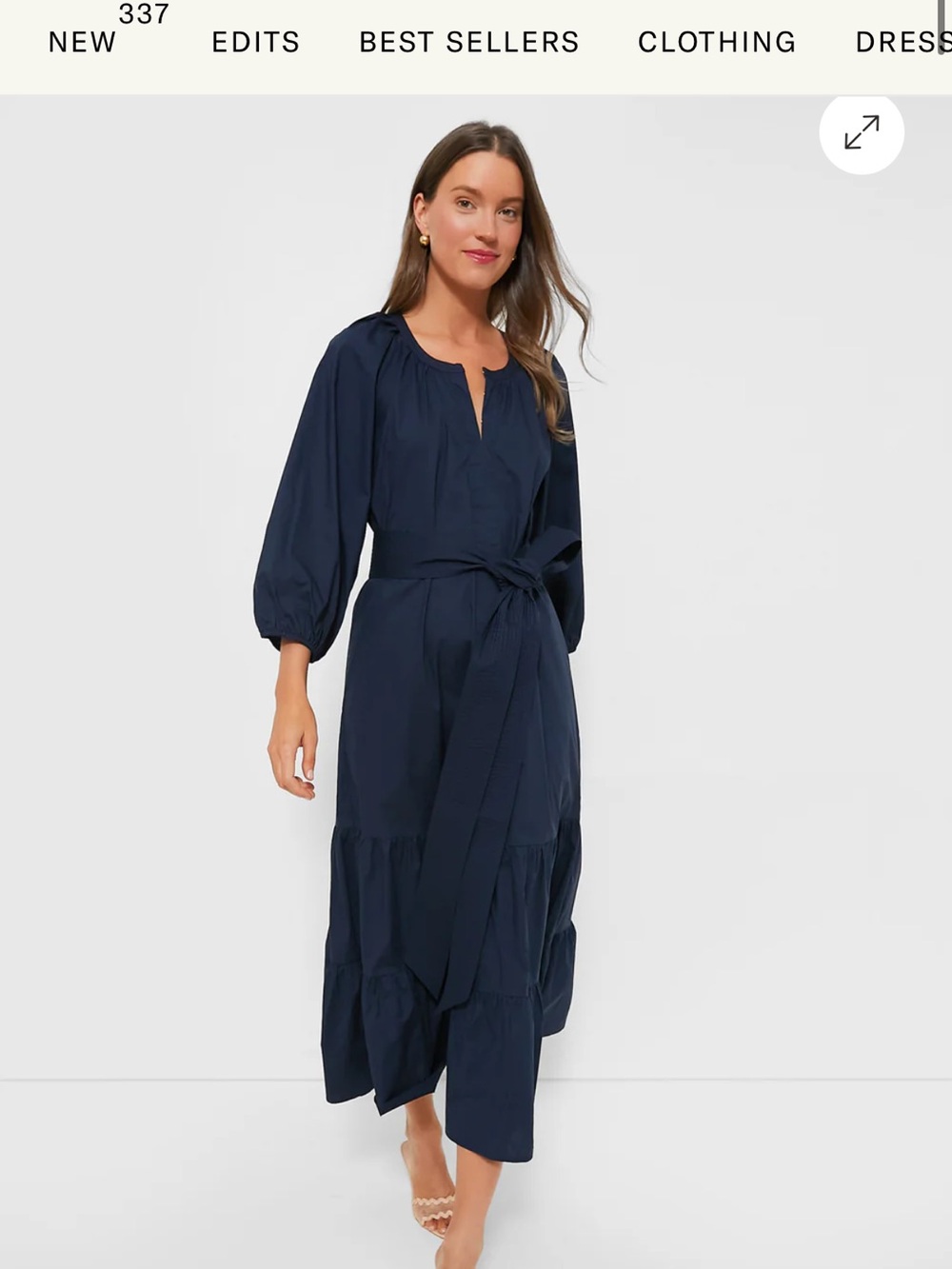 Tuckernuck Navy Lyles Dress Size Large